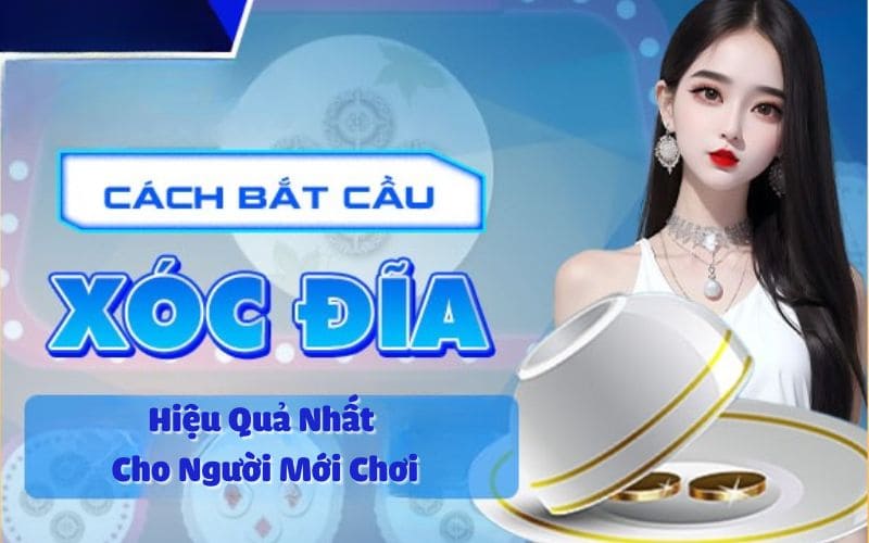 Cách Bắt Cầu Xóc Đĩa Hiệu Quả Nhất Cho Người Mới Chơi