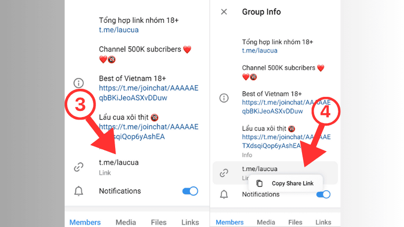  Copy link nhóm để chia sẻ 