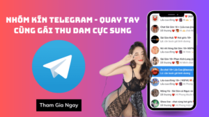 Nhóm kín Telegram cung cấp cho anh em những gì 