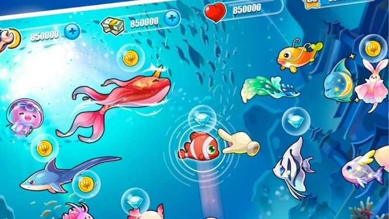 Bí Quyết Săn Hũ Thiềm Thừ Trong Game Sun Cá Sunwin
